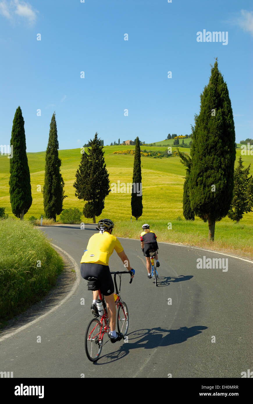 Rennradfahrer auf gebogenen Straße im Frühjahr, Val d ' Orcia, Toskana, Italien Stockfoto