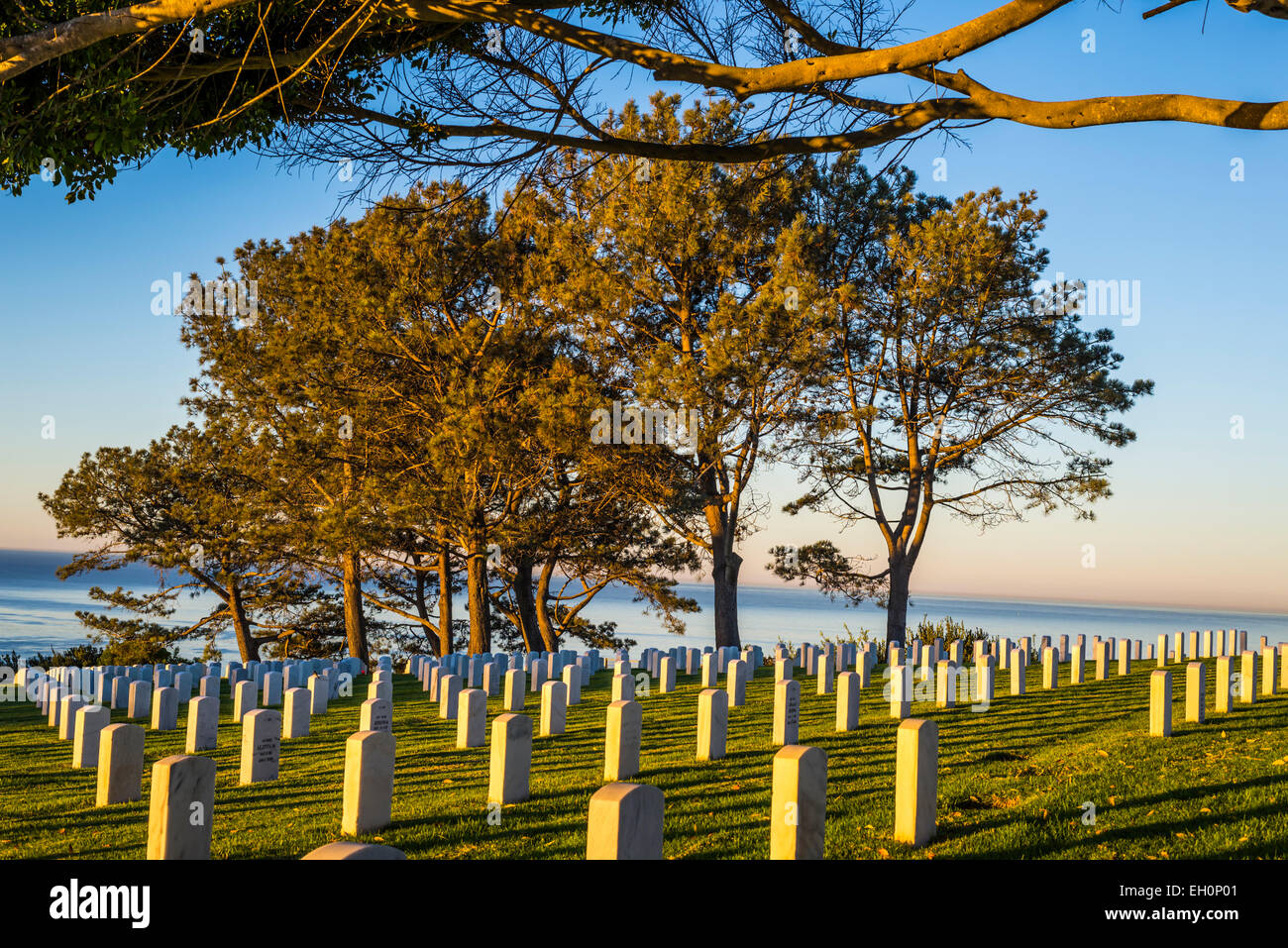 Die aufgehende Sonne beleuchten Bäume am Fort Rosecrans National Cemetery, San Diego, California, Vereinigte Staaten von Amerika. Stockfoto