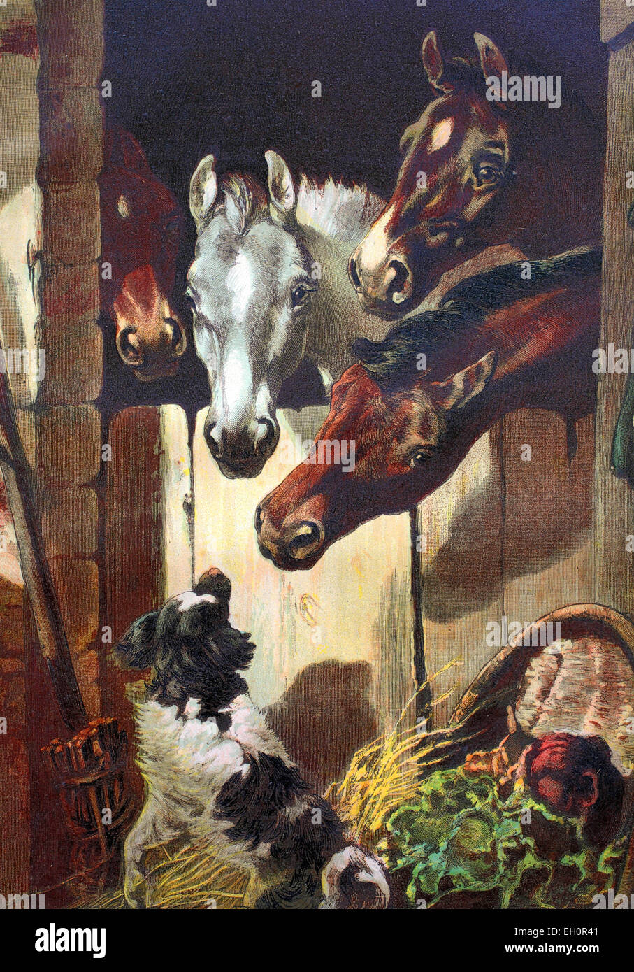 Fohlen und Pferde im Stall Stockfoto