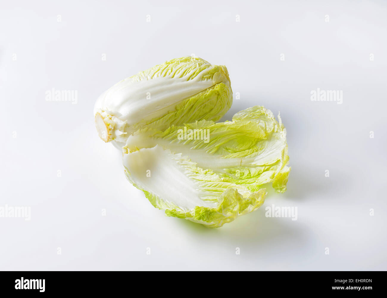 Leiter der frischen Chinakohl Stockfoto