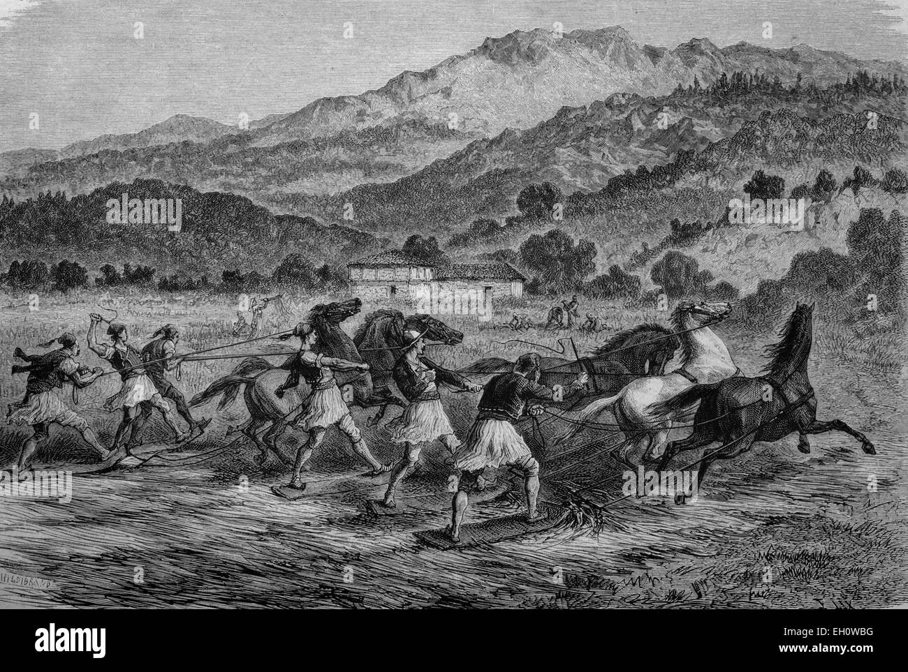 Dreschen von Getreide in Griechenland, historische Abbildung, ca. 1886 Stockfoto