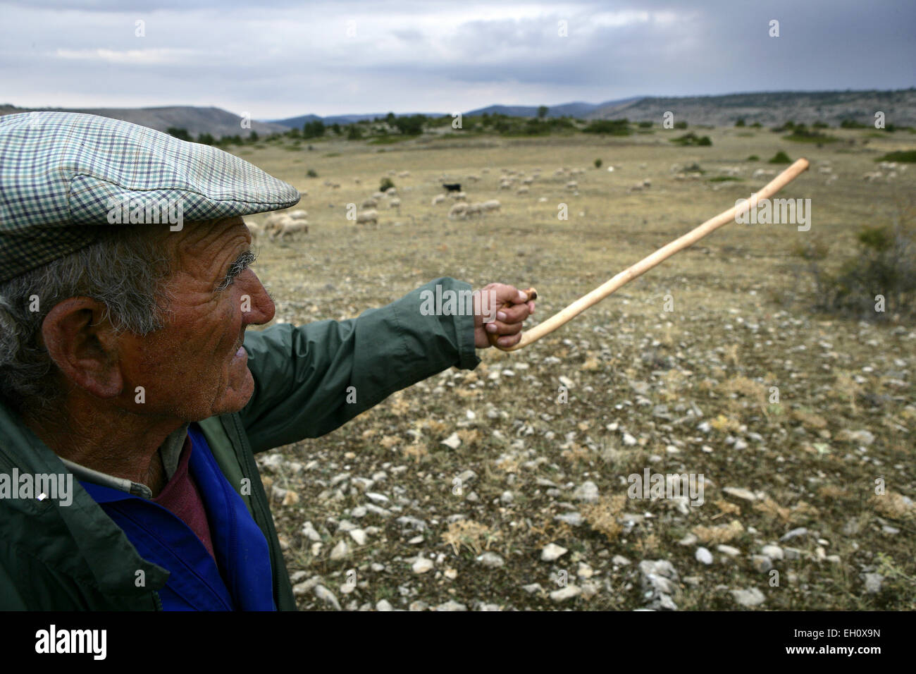 Der Naturpark Alto Tajo ist spanische Nationalpark befindet sich zwischen der südöstlichen Provinz Guadalajara und nordöstlichen Stockfoto