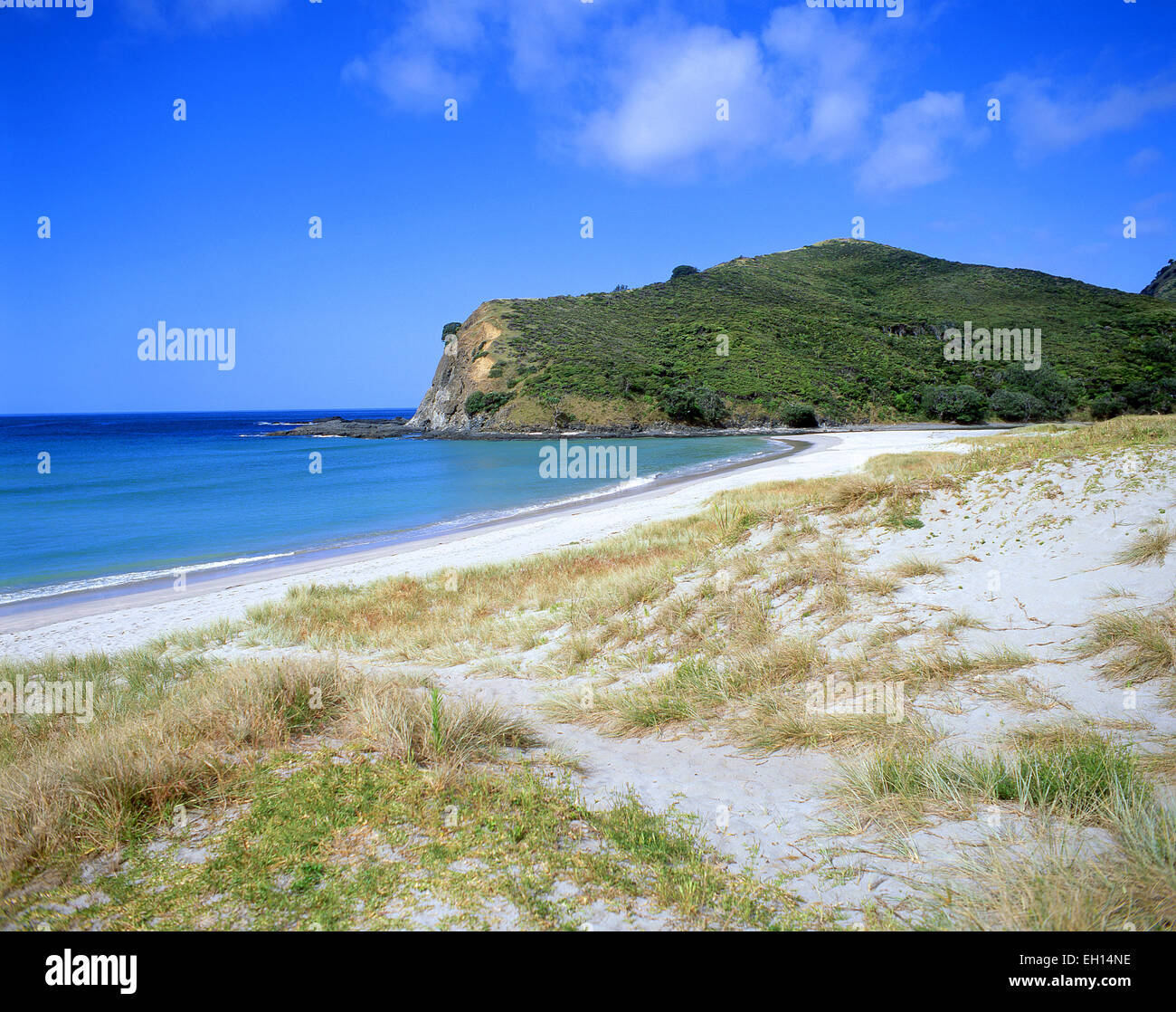 Strandblick, Bay of Islands, Region Northland, Nordinsel, Neuseeland Stockfoto