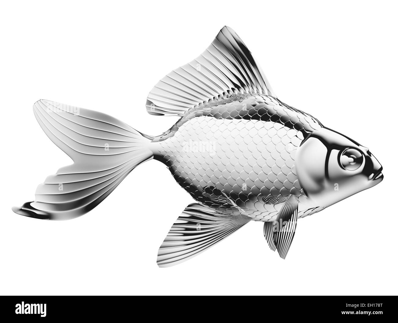 Silberfisch mit Flossen und Schuppen isoliert auf weißem Hintergrund Stockfoto