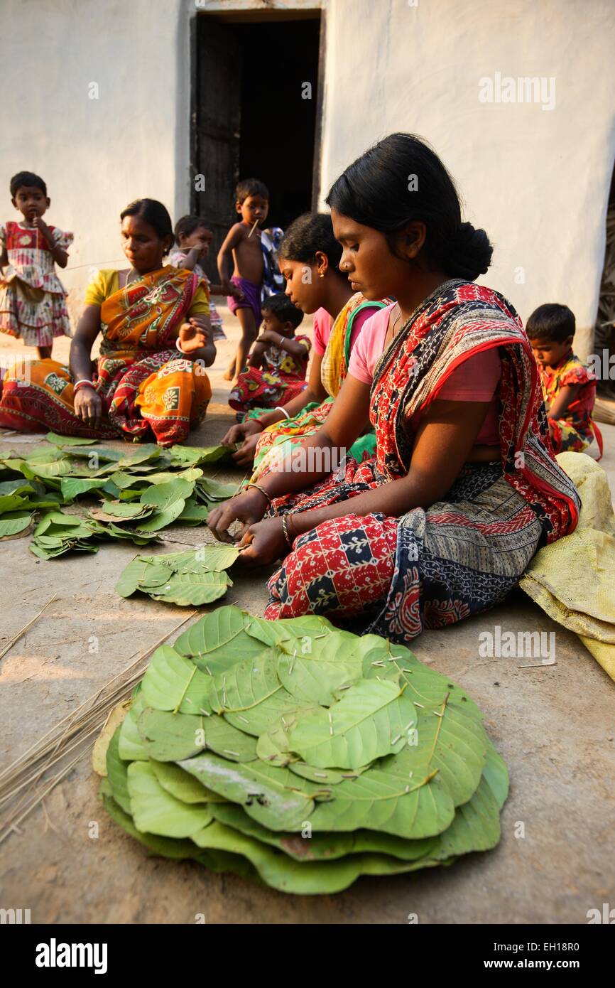 Santiniketan, Indien. 4. März 2015. Dorfbewohner machen Blatt Platten in einem Dorf Birbhum Bezirk in West Bengalen, Indien, 4. März 2015. Im Norden und Osten Indien bestehen Blätter vom Baum Sal (Botanischer Name Shorea Robusta) in Platten, die beliebt sind während der traditionellen Mahlzeiten, feste und in Tempeln. Wie Sal Bäume in Birbhum Bezirk von West Bengalen in Indien angebaut sind, verdienen Dorfbewohner ihr Brot durch den Verkauf ihrer handgefertigten Blatt-Platten. © Zheng Huansong/Xinhua/Alamy Live-Nachrichten Stockfoto