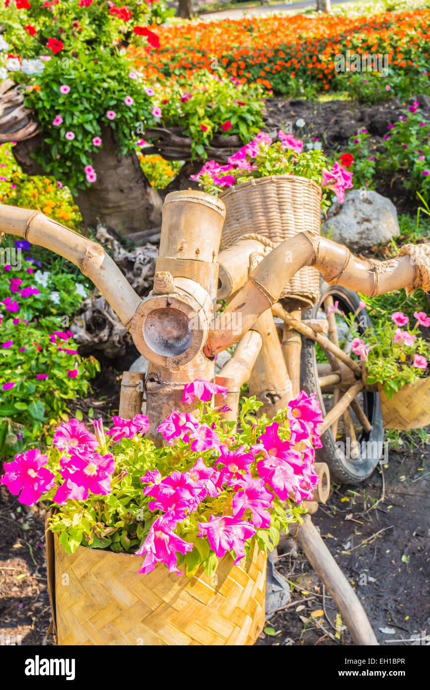 Dekorative Blumen in Töpfen auf Holz. Stockfoto