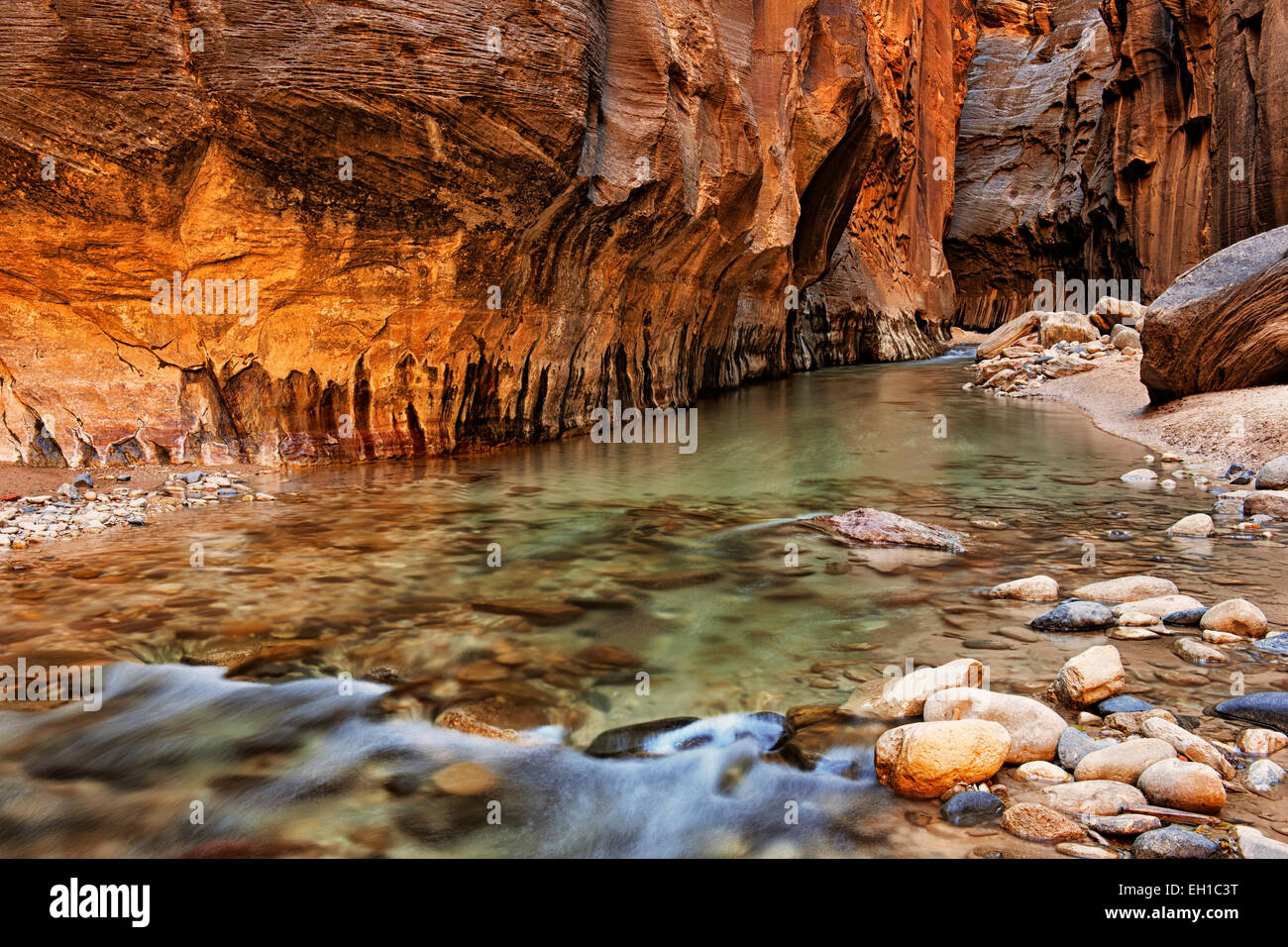 Reflektierende Licht erhellt die Sandsteinwände der The Narrows, wie dem Virgin River durch Zion National Park in Utah stürzt. Stockfoto