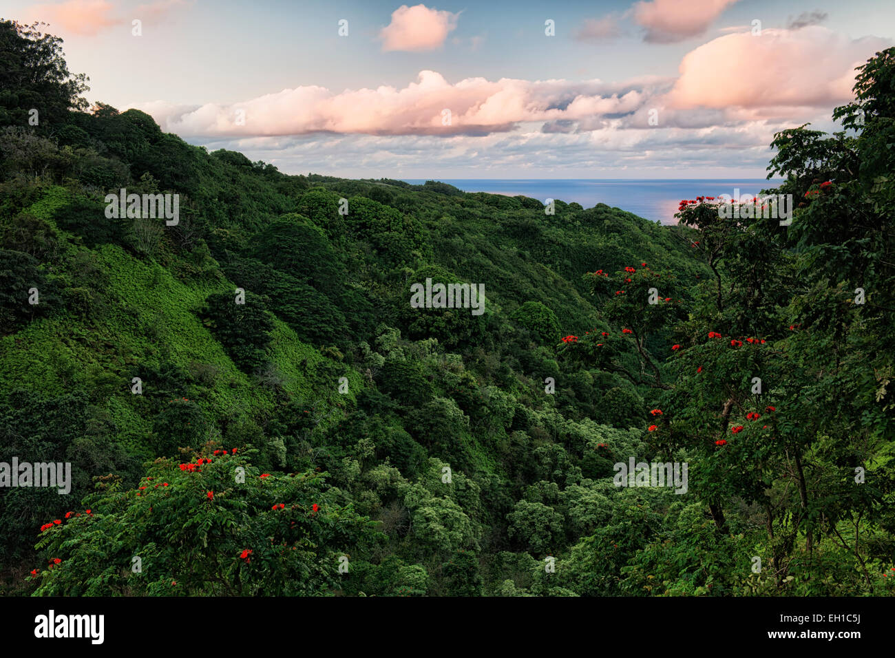 Die Straße nach Hana bietet spektakuläre Ausblicke auf die üppige Vegetation und dem Pazifischen Ozean auf Hawaii Insel Maui. Stockfoto