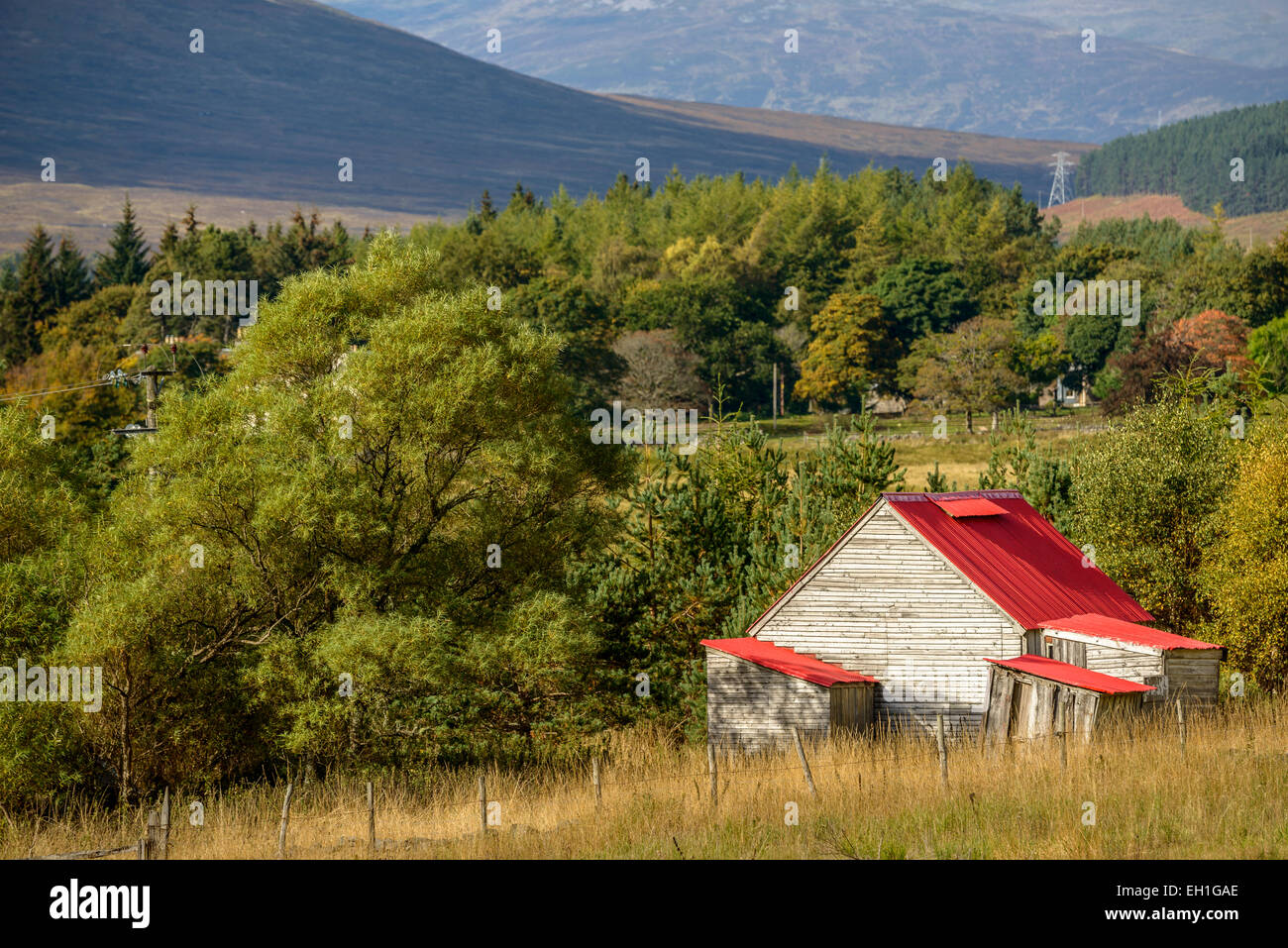 Eine rotbedachten Holzhütte in einem ländlichen Gebiet der Cairngorms, Schottland. Stockfoto