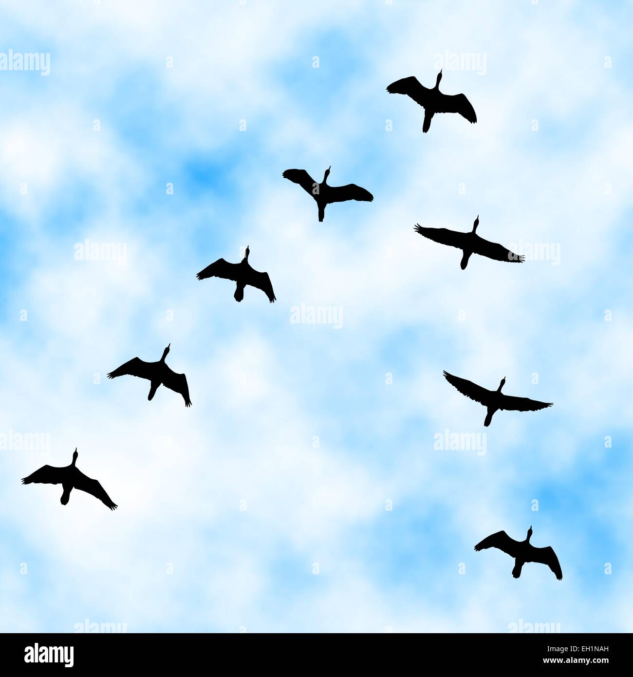 Bearbeitbares Vektor-Illustration ein Kormoran Schwarm fliegen overhead mit Himmelshintergrund gemacht mit einem Verlaufsgitter Stock Vektor
