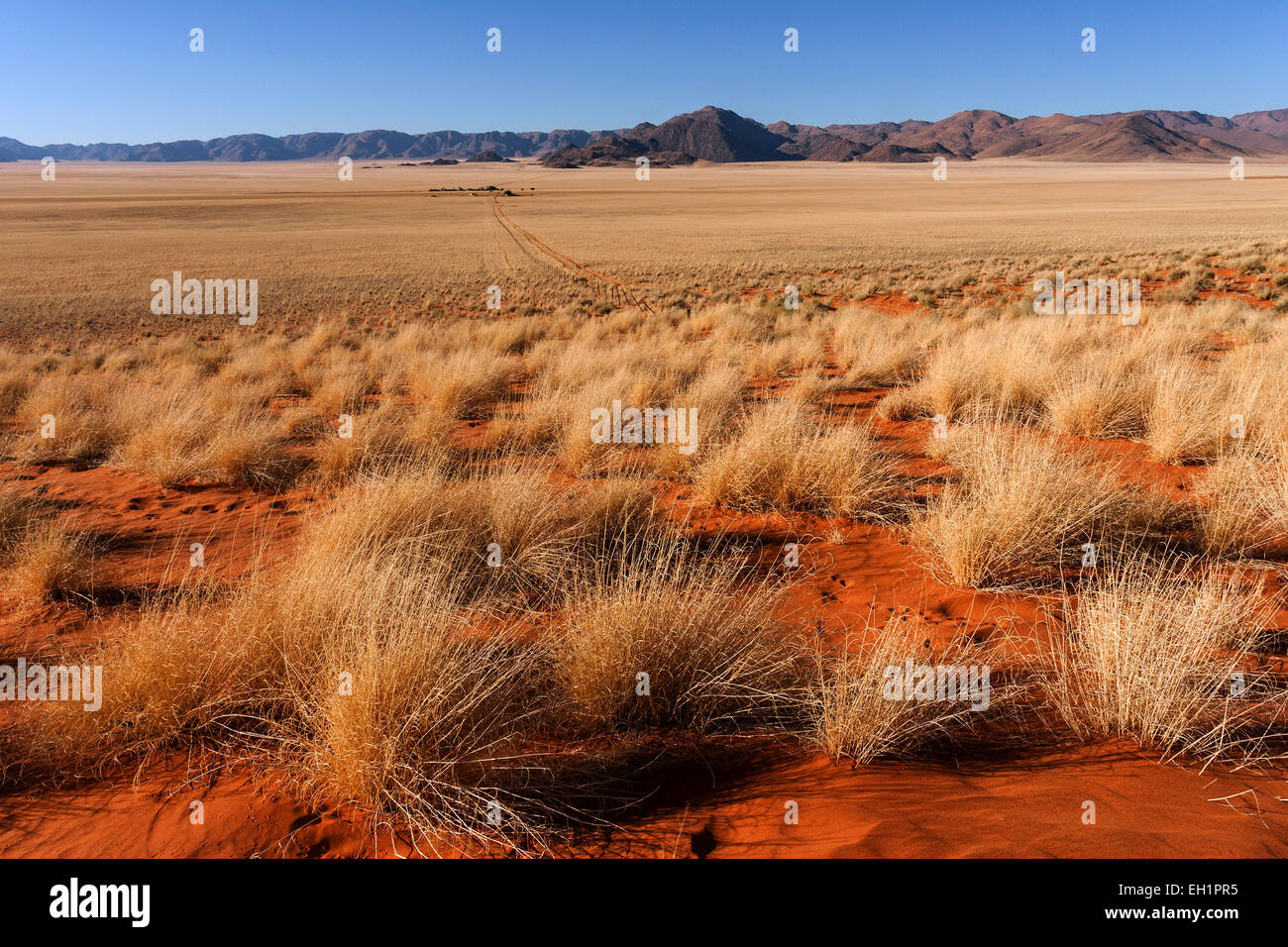 Steppenlandschaft in den südlichen Ausläufern der Namib-Wüste, hinter den Tiras Bergen, Namibia Stockfoto