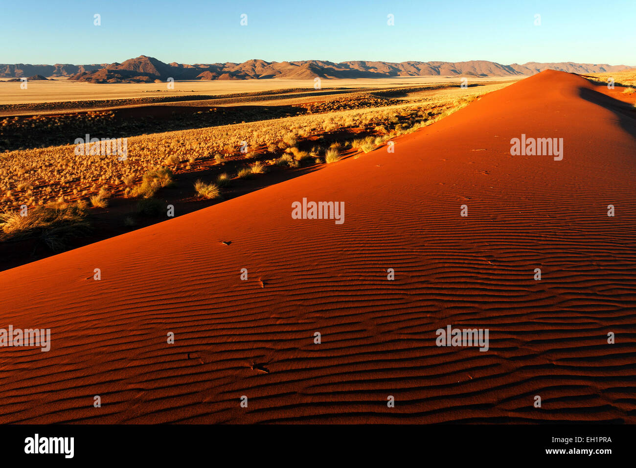 Südlichen Ausläufer der Namib-Wüste, Dünen, hinter den Tiras-Bergen, abends Licht, Namibia Stockfoto