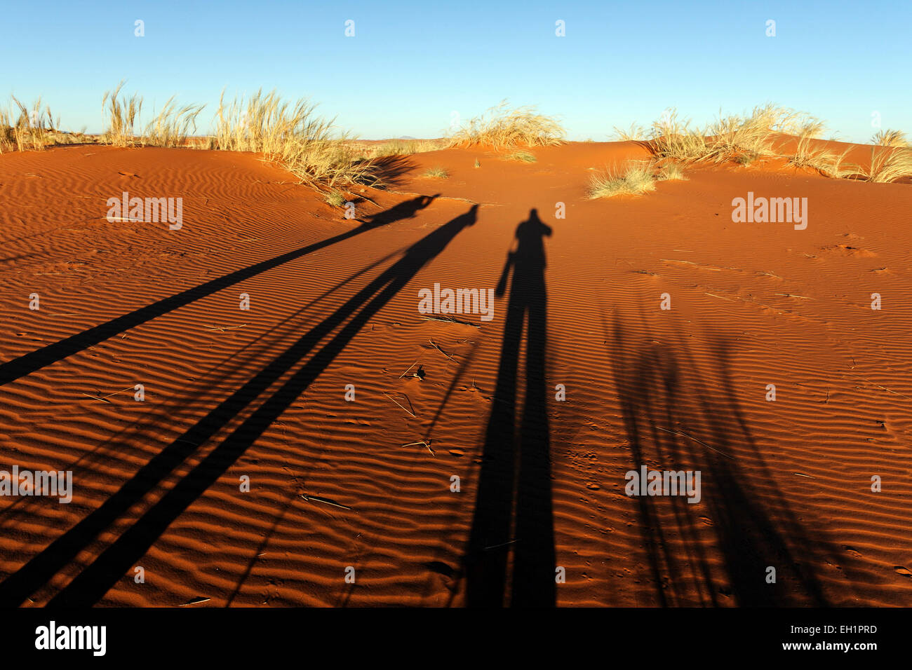 Fotografen, die Schatten auf einer Sanddüne, Morgenlicht, Namibia Stockfoto