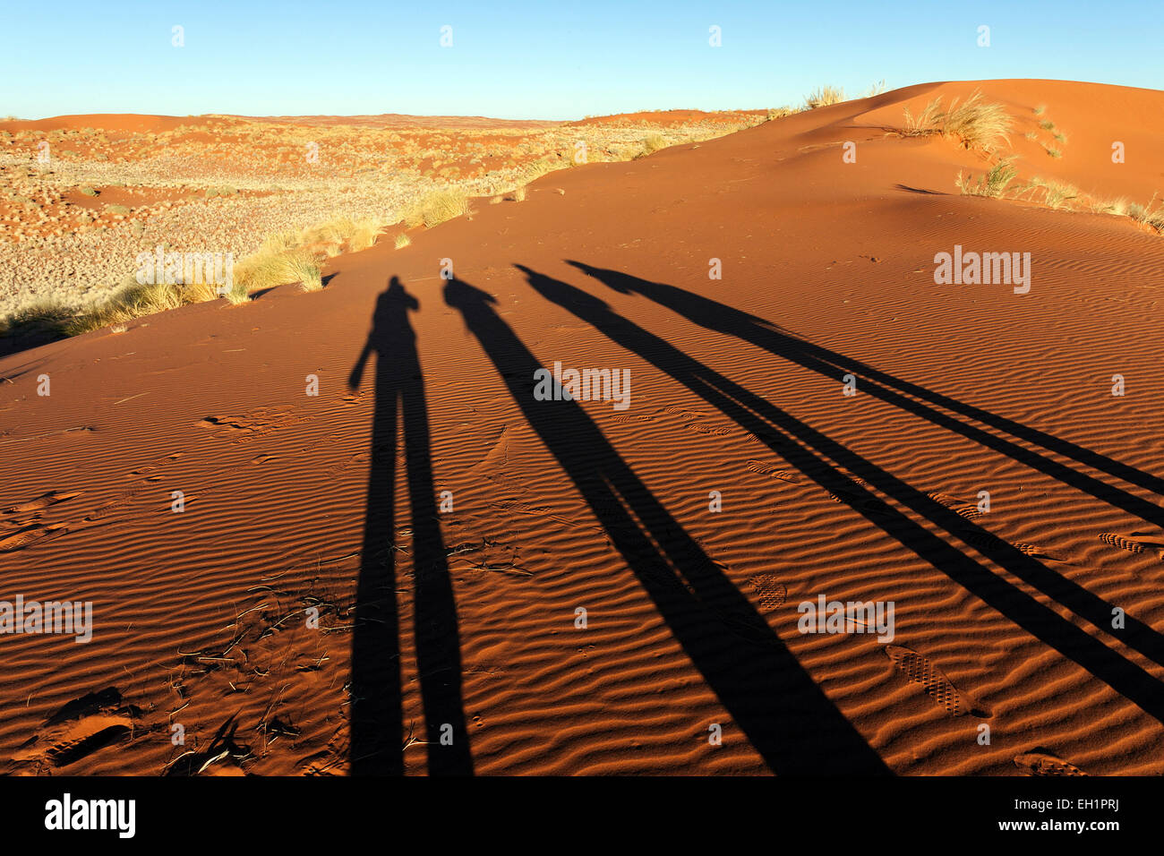 Fotografen, die Schatten auf einer Sanddüne, Morgenlicht, Namibia Stockfoto