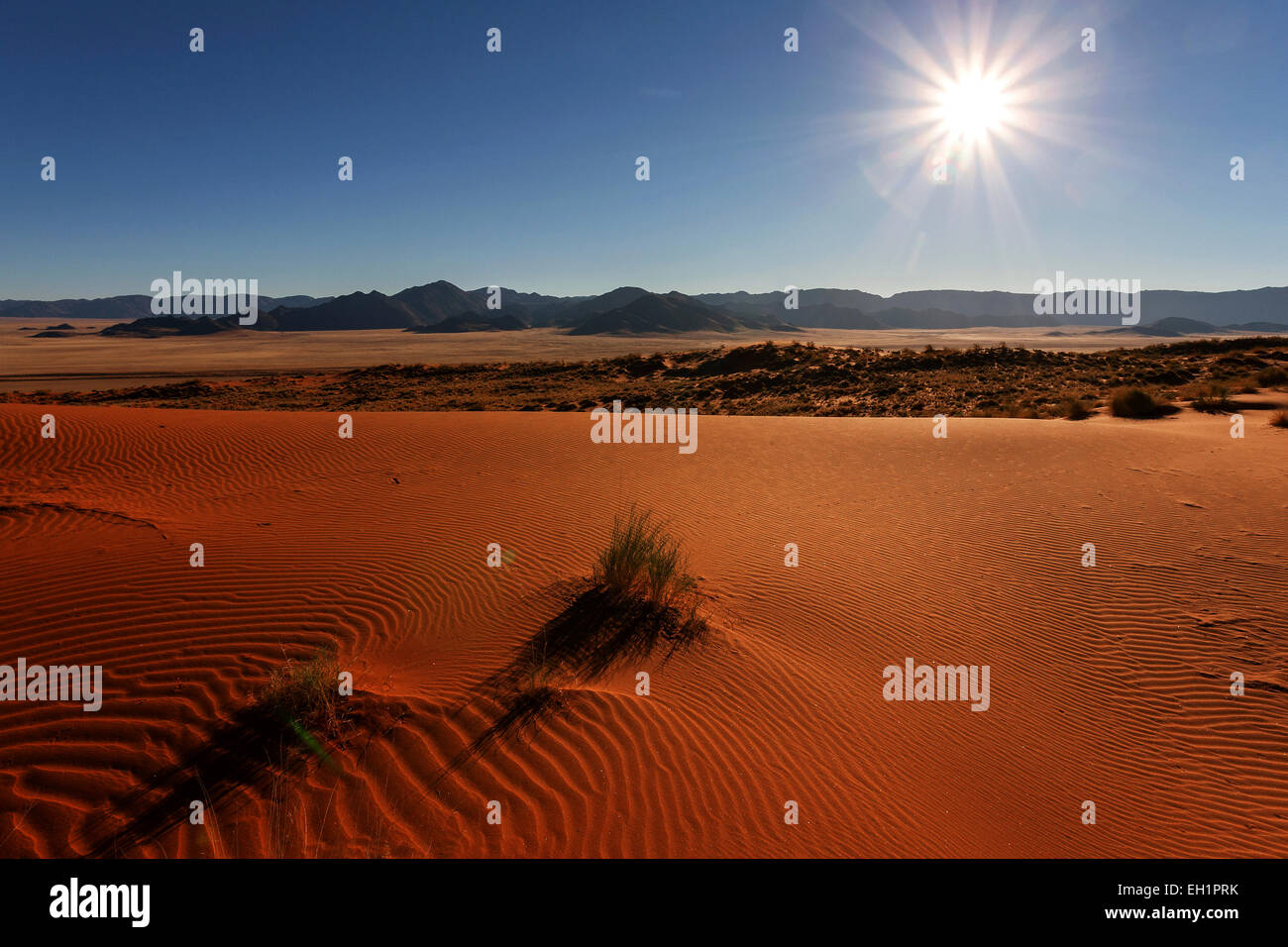 Südlichen Ausläufer der Namib Wüste, Dünen, hinter den Tiras Bergen, Hintergrundbeleuchtung, Morgenlicht, Namibia Stockfoto