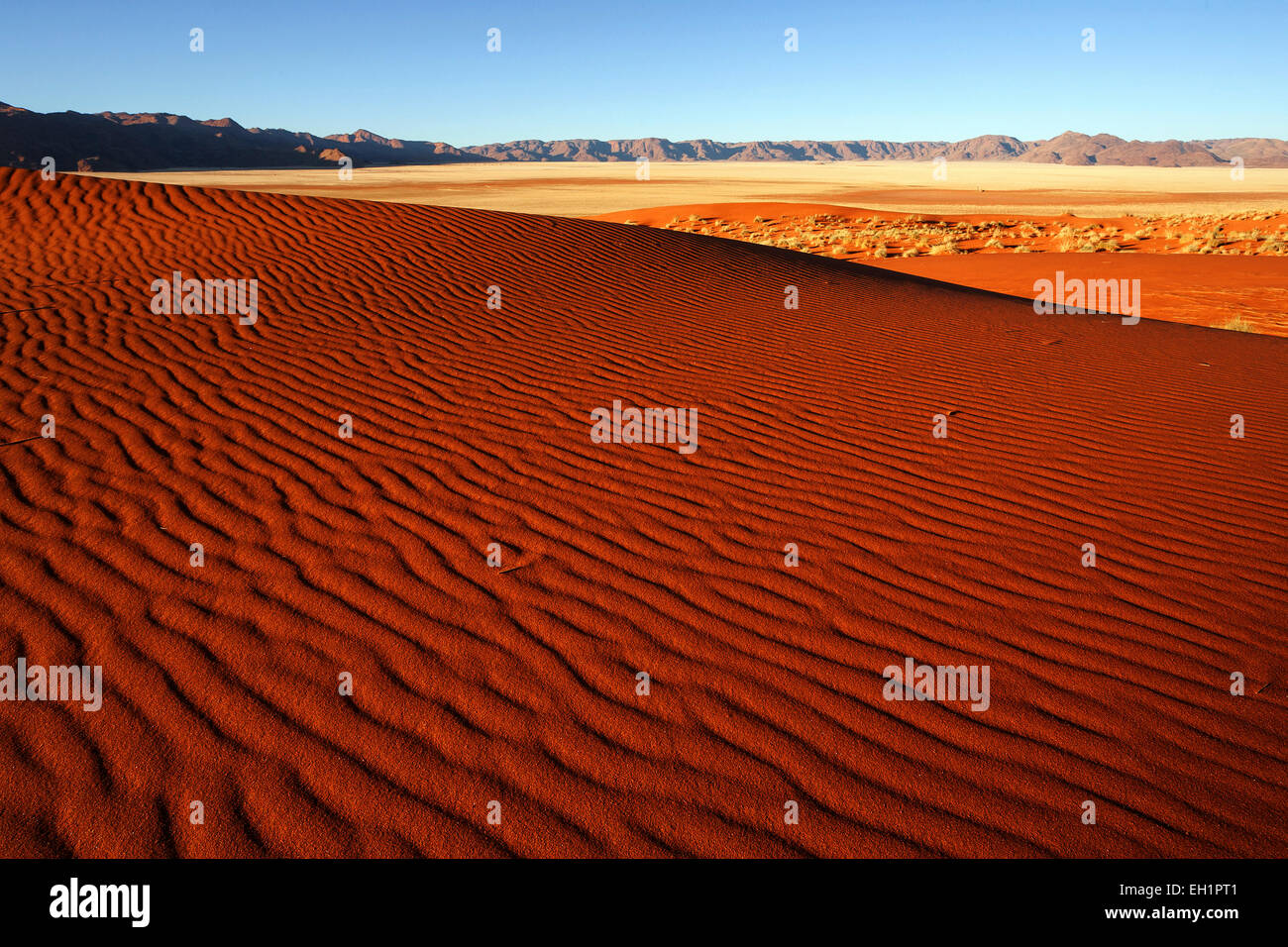 Südlichen Ausläufer der Namib-Wüste, Dünen, Strukturen, hinter den Tiras-Bergen, abends Licht, Namibia Stockfoto