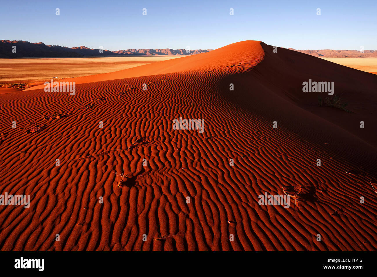 Südlichen Ausläufer der Namib-Wüste, Dünen, Strukturen, hinter den Tiras-Bergen, abends Licht, Namibia Stockfoto