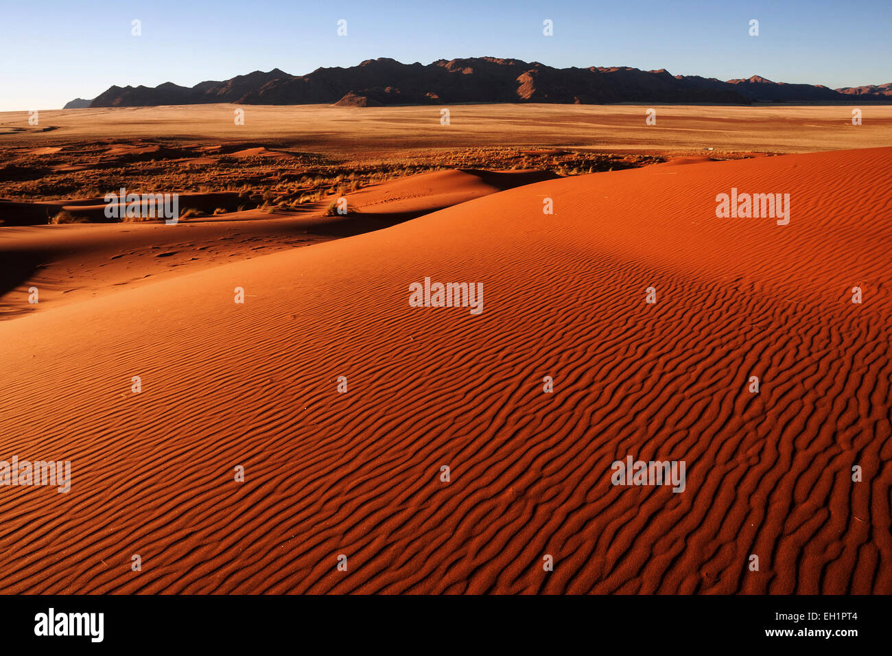 Südlichen Ausläufer der Namib-Wüste, Dünen, Strukturen, hinter den Tiras-Bergen, abends Licht, Namibia Stockfoto