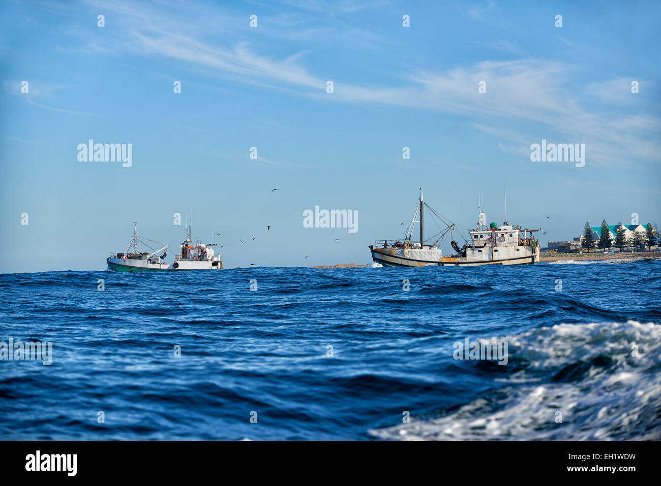 Fischereifahrzeuge abläuft, gehen Sie auf Sardinen Angeln, Mossel Bay, Western Cape, Südafrika Stockfoto