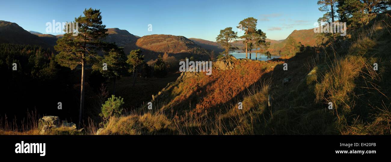 Keldas Winterabend. Sheffield Hecht, Ullswater und Ort fiel von Keldas Gipfel des Schotten Kiefern Stockfoto