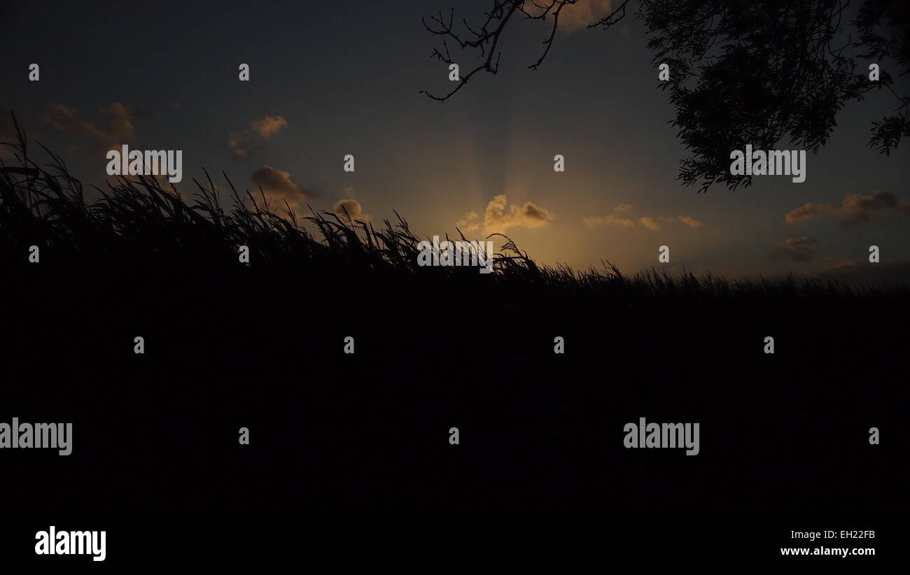 Sonnenuntergang über das Feld Stockfoto