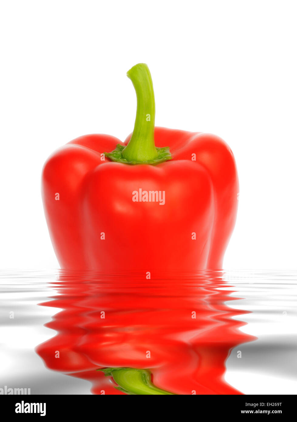 Eine rote Paprika Digital in einer Lache des Wassers wider. Stockfoto