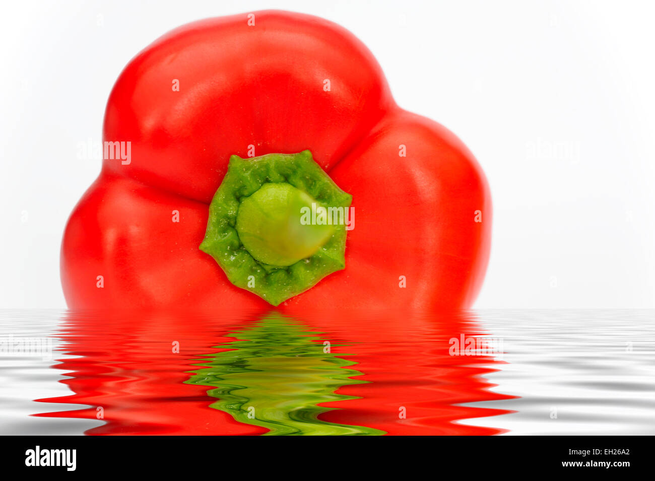 Eine rote Paprika in einer Digital erstellten Lache des Wassers Stockfoto
