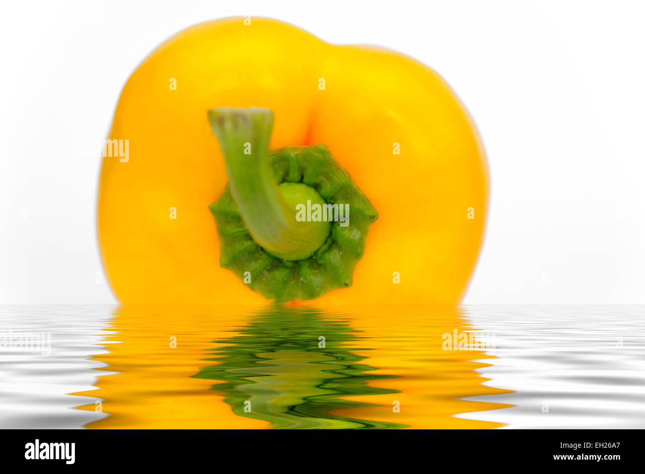 Eine gelbe Paprika in einer Digital erstellten Lache des Wassers Stockfoto
