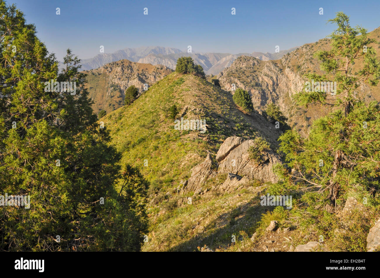 Malerische Aussicht des Tian Shan Gebirges in der Nähe von Tschimgan in Usbekistan Stockfoto