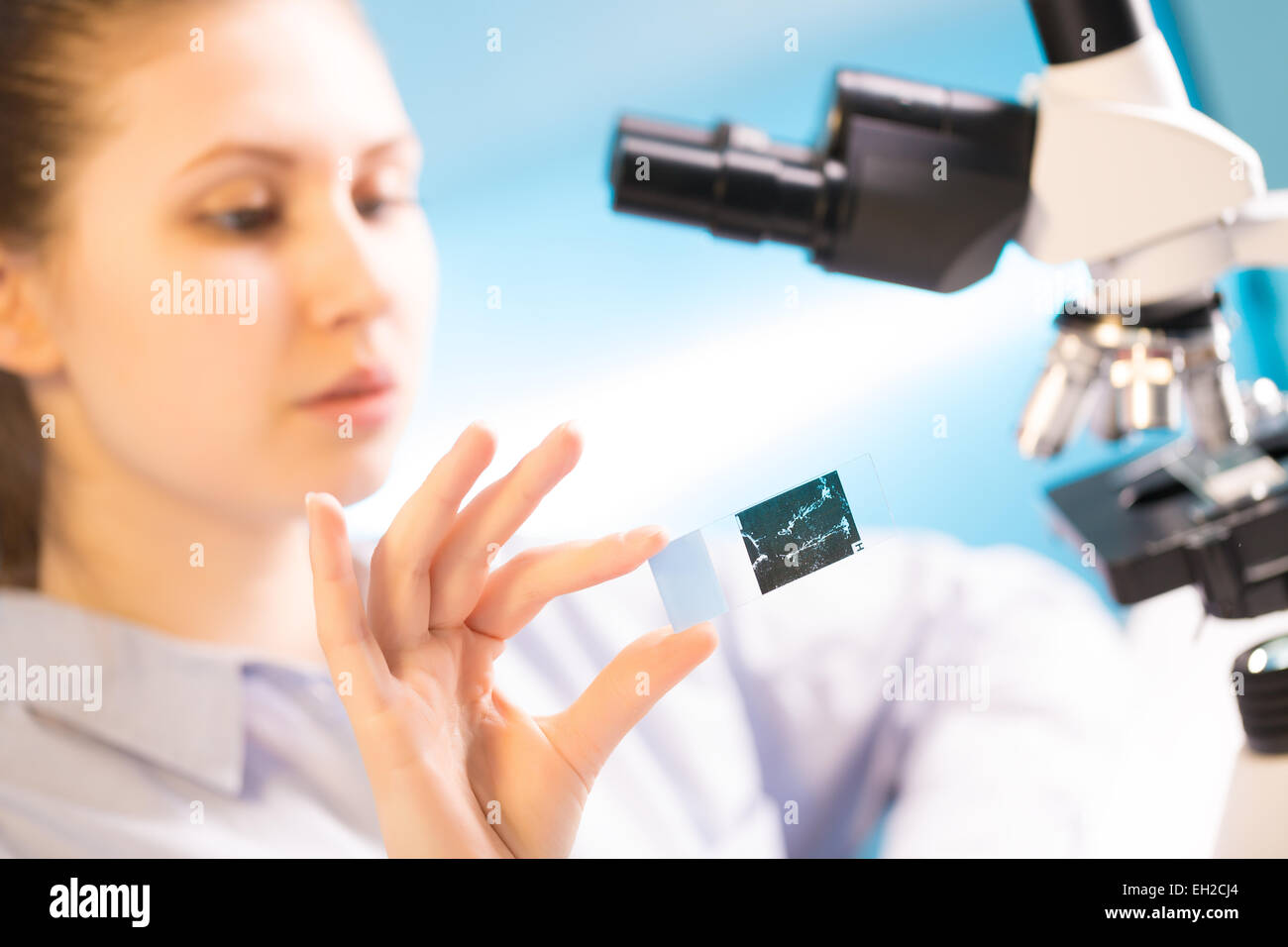 Frau in einem Labor-Mikroskop mit Mikroskop schieben in der hand Stockfoto