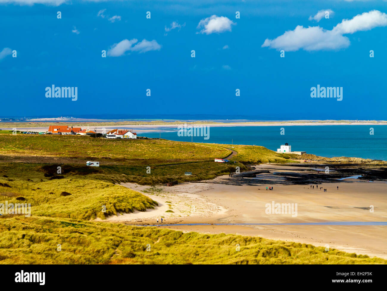 Zeigen Sie suchen Nord über den Strand und die Dünen in der Nähe von Bamburgh Northumberland England UK an Stockfoto