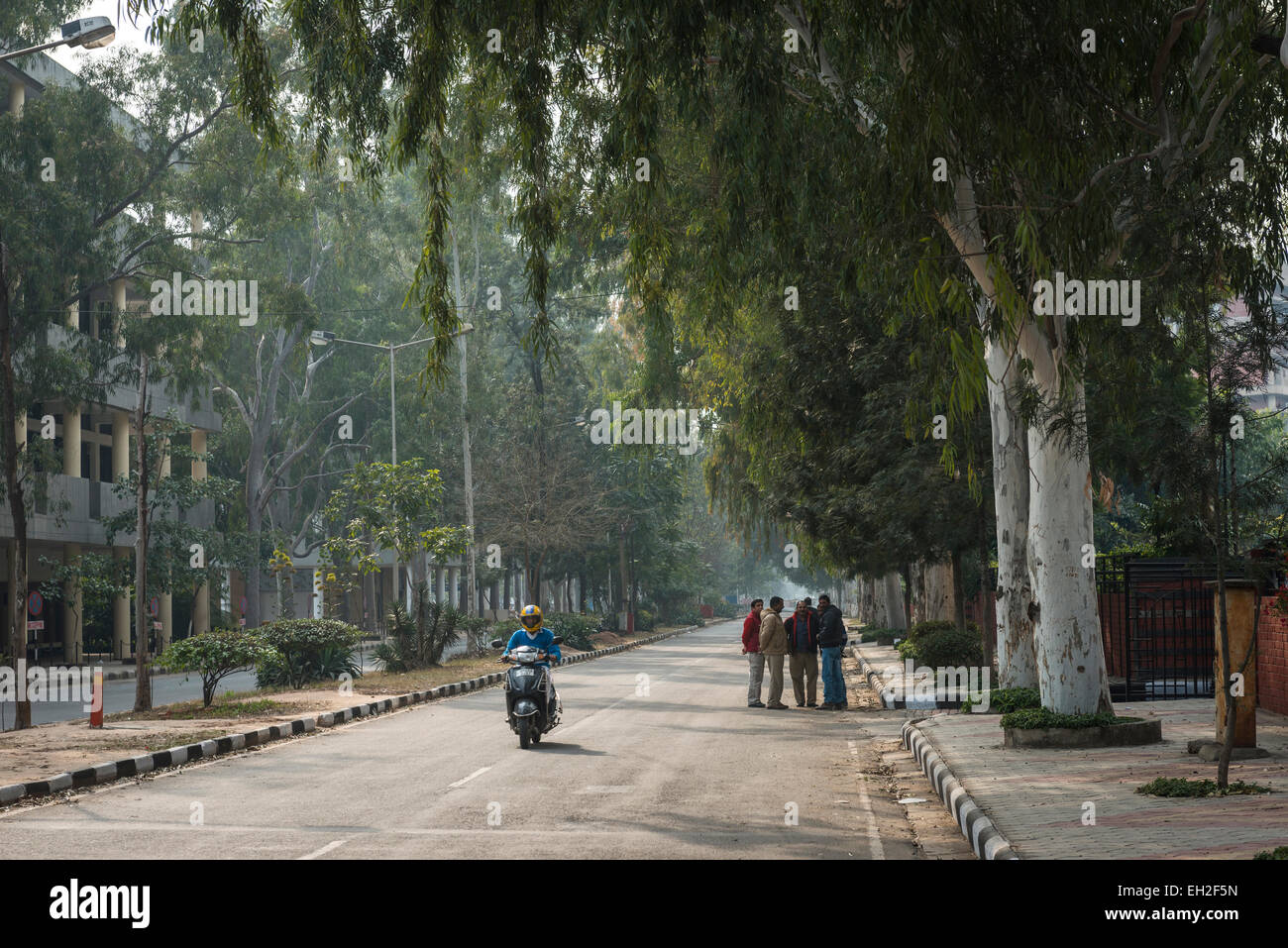 Die breiten Alleen der modernen Stadt von Chandigarh, Indien Stockfoto
