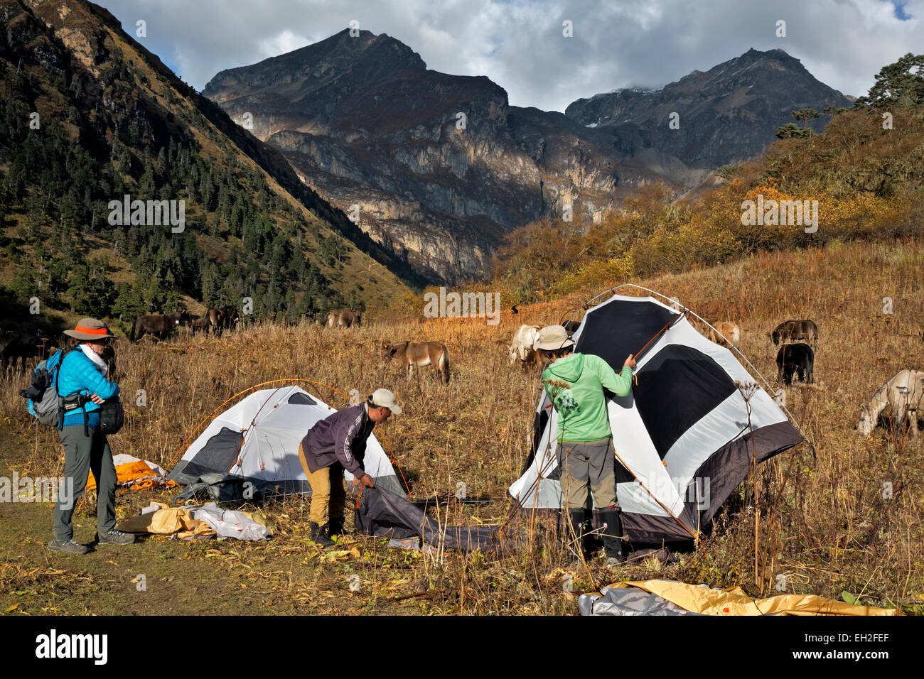 BHUTAN - Trekker warten Zelte eingerichtet werden, nach der Ankunft am Soi Yaksa Campingplatz südlich von La Bhonte. Stockfoto