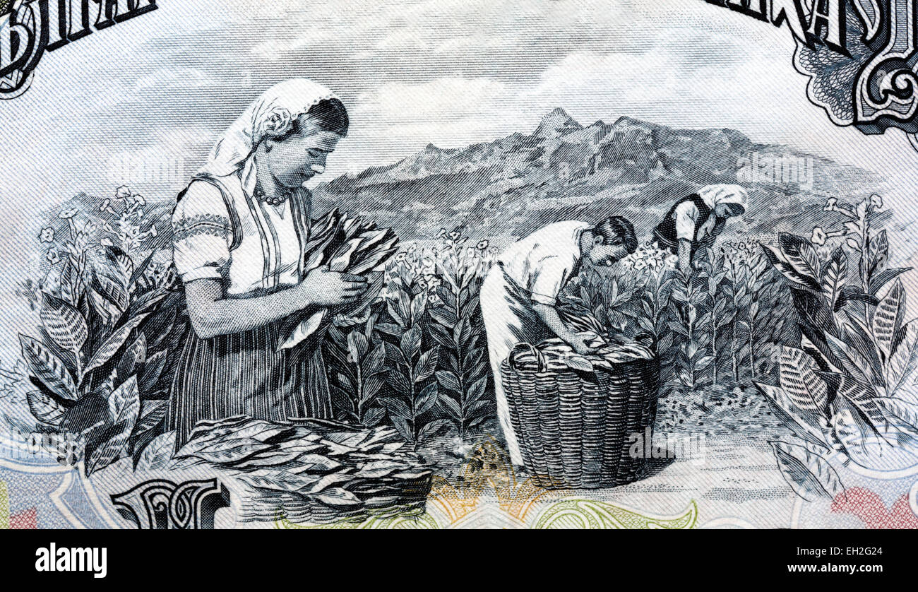 Ernten Sie, sammeln, 200 LEWA Banknote, Bulgarien, 1951 Stockfoto