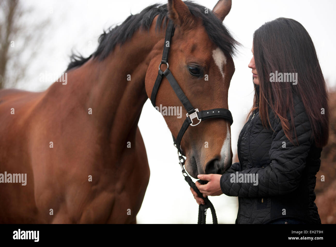 Eine junge hält eine Pferd, streichelte seine Nase Stockfoto