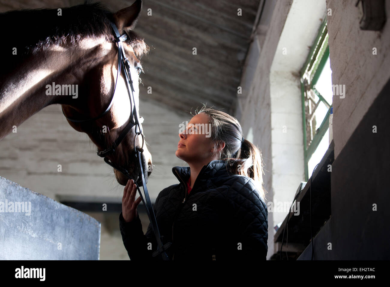 Eine junge Frau in einem Stall, ein Pferd zu bewundern Stockfoto