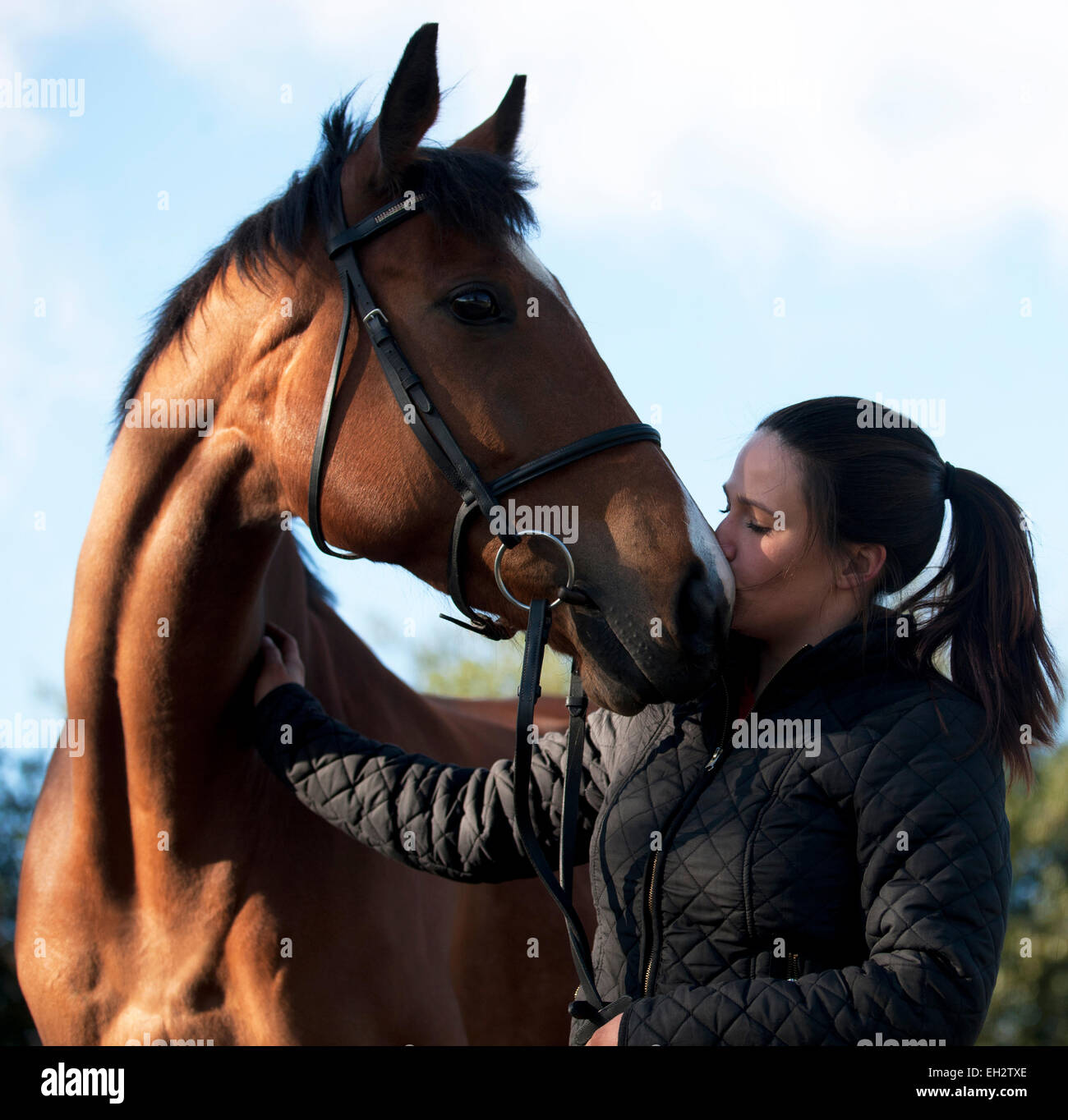 Eine junge Frau, die ein Pferd auf die Nase küssen Stockfoto