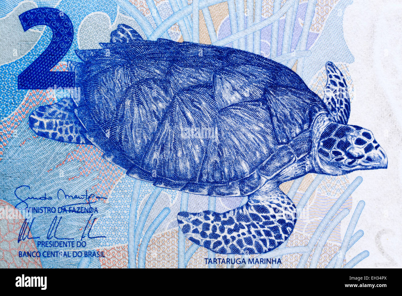 Sea Turtle von 2 Reais Banknote, Brasilien, 2010 Stockfoto