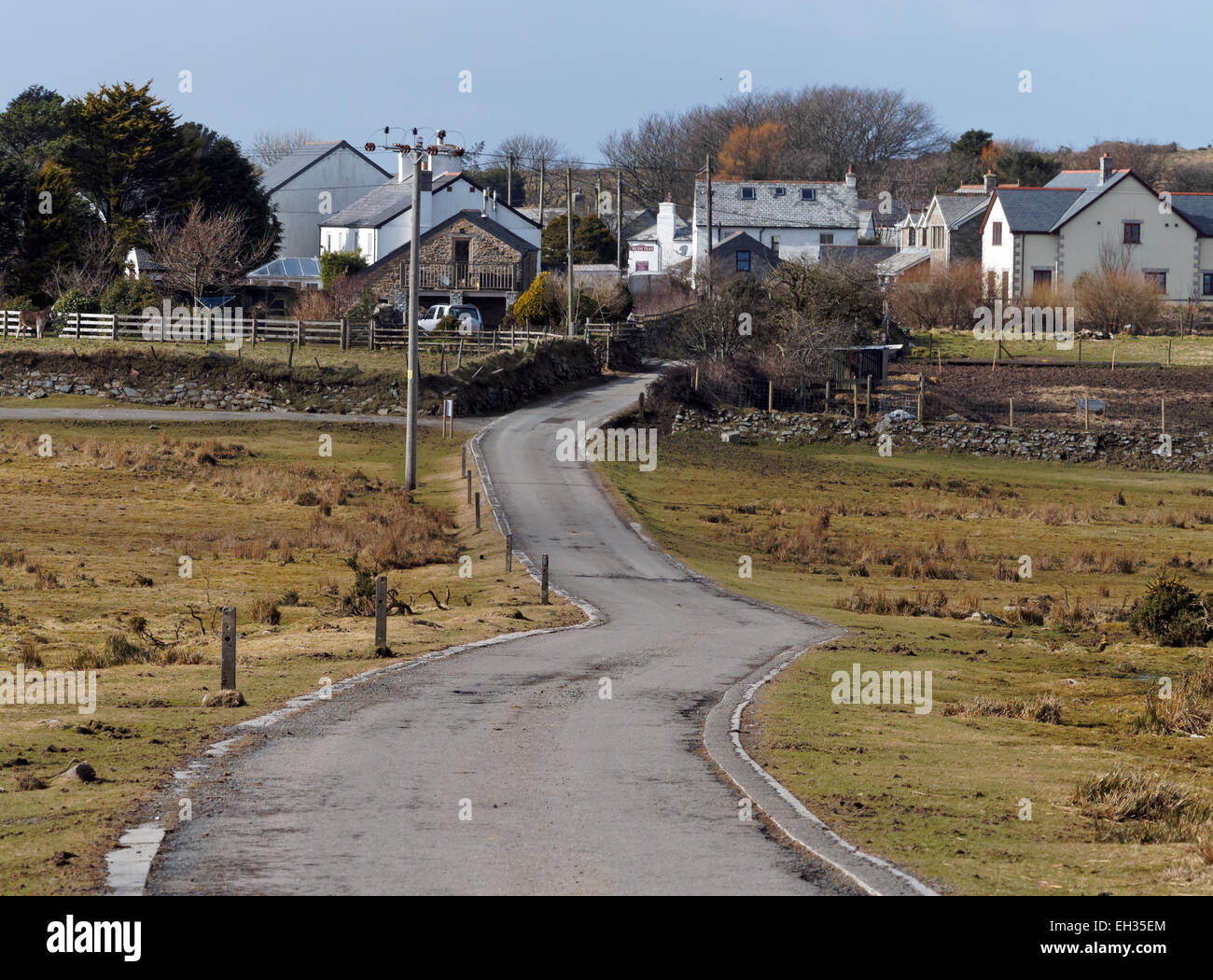 Schergen mit Stadtblick von Caradon hill Stockfoto