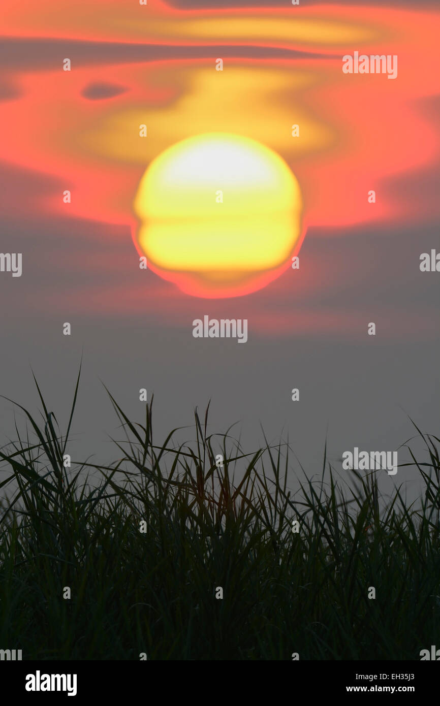 Nahaufnahme der Sonne bei Sonnenaufgang, Hessen, Deutschland, Europa Stockfoto