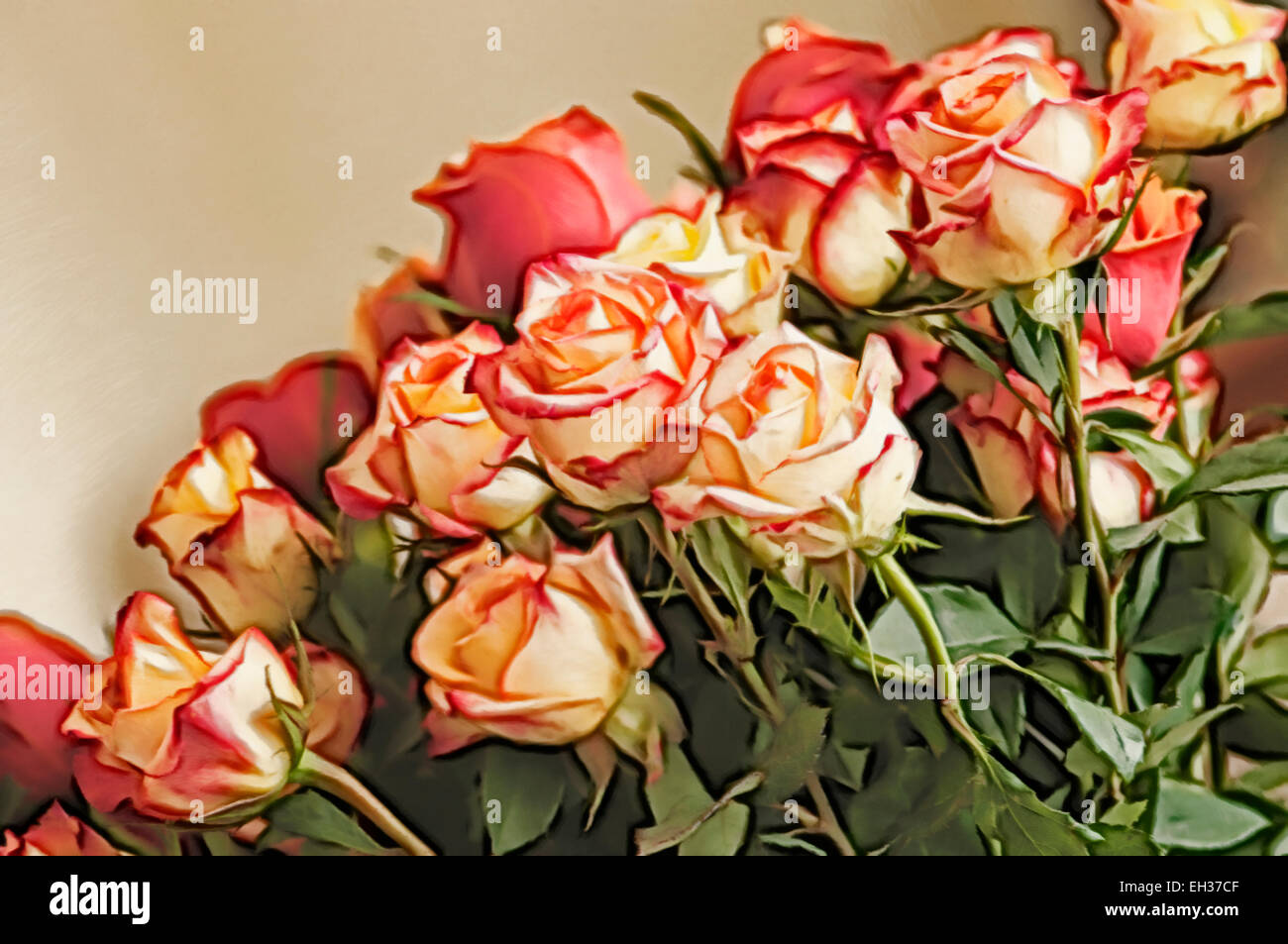 Winter rose blumeblumenstrauß Stockfoto