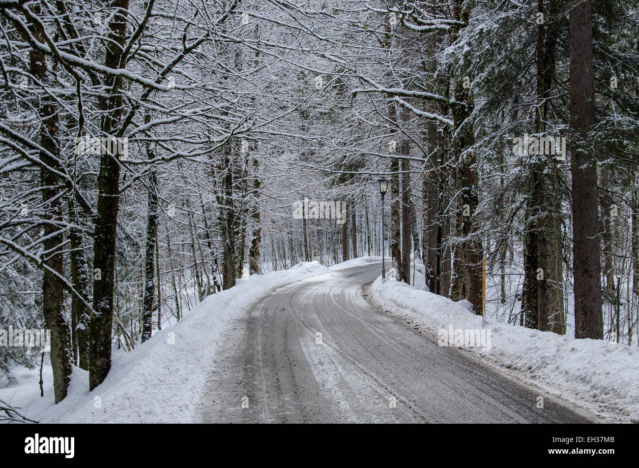 Straße im Winter führt durch eine hölzerne Schnee auf den Zweigen Stockfoto