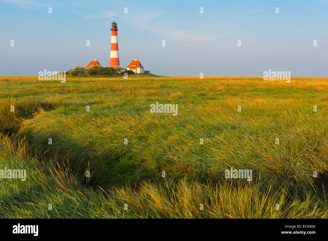 Leuchtturm Westerhever, Eiderstedt, Nordfriesland, Schleswig-Holstein, Deutschland Stockfoto