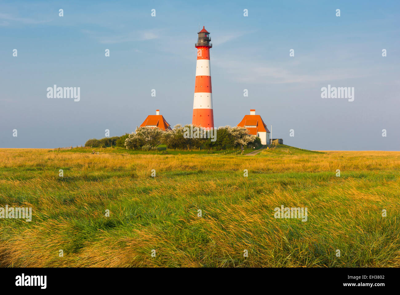 Leuchtturm Westerhever, Eiderstedt, Nordfriesland, Schleswig-Holstein, Deutschland Stockfoto