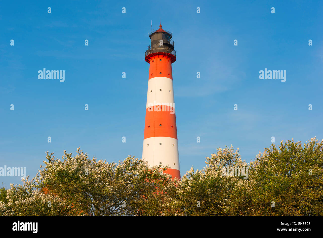 Leuchtturm Westerhever, Eiderstedt, Nordfriesland, Schleswig-Holstein, Deutschland Stockfoto