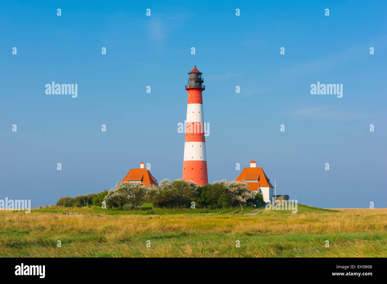Leuchtturm Westerhever, Eiderstedt, Nordfriesland, Schleswig-Holstein, Deutschland Stockfoto