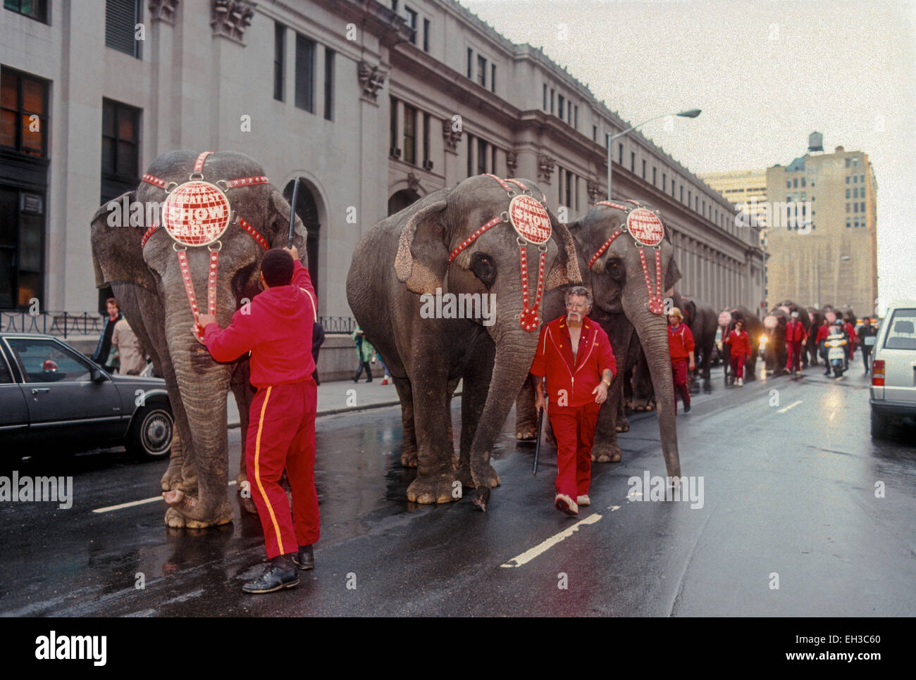 Ringling Brothers Barnum und Bailey Circus Parade durch die Innenstadt von Manhattan Stockfoto