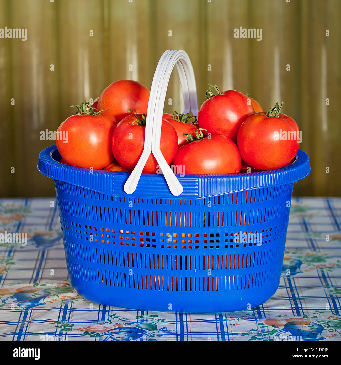 Blaue Korb mit reife Tomaten auf dem Tisch Stockfoto