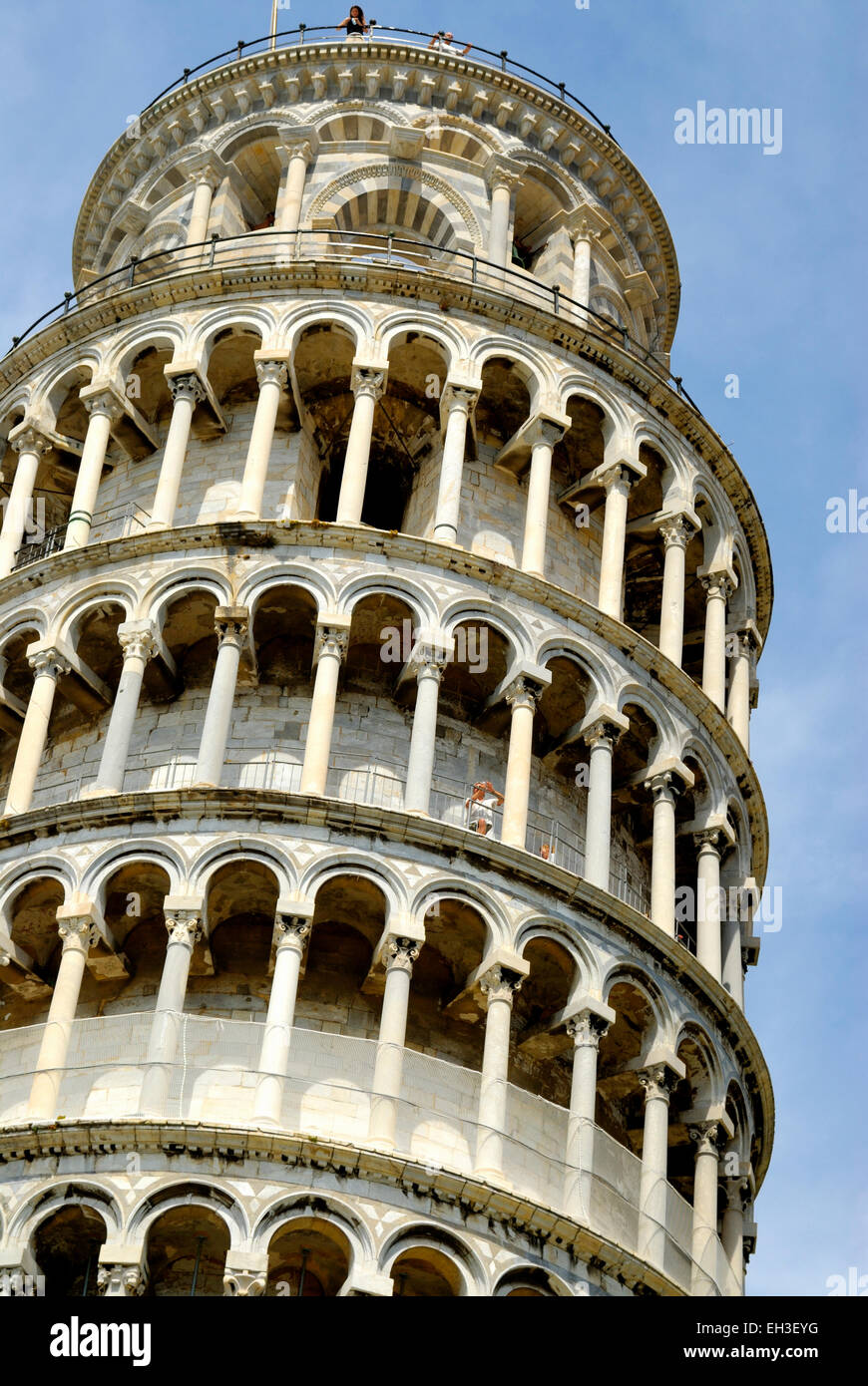 Detail der schiefe Turm von Pisa, Pisa, Italien Stockfoto