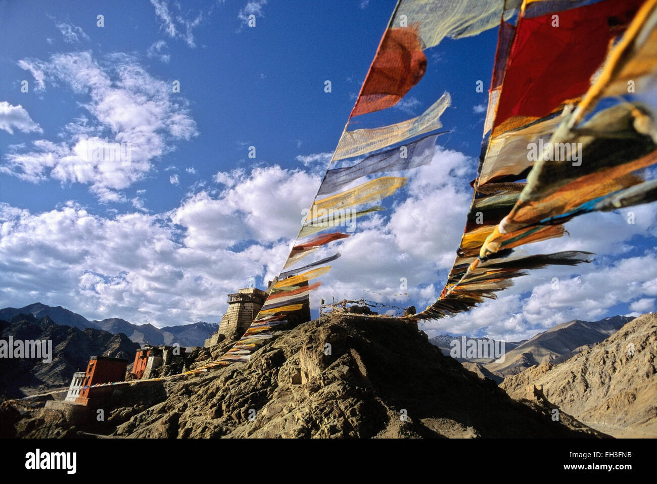 Namgyal Tsemos Gompa (buddhistisches Kloster), Leh, Ladakh, Indien Stockfoto